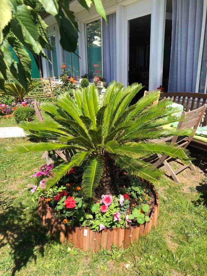 Villa Baroque Pierrefitte-sur-Seine Zimmer foto